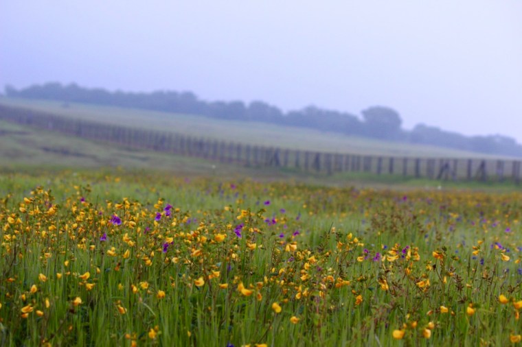 GZ%qTaymQR64a3CJOA8NlQ_thumb_28b