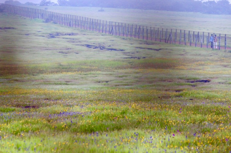 mO7s0zJoTgeUvvLaZJufnQ_thumb_28e