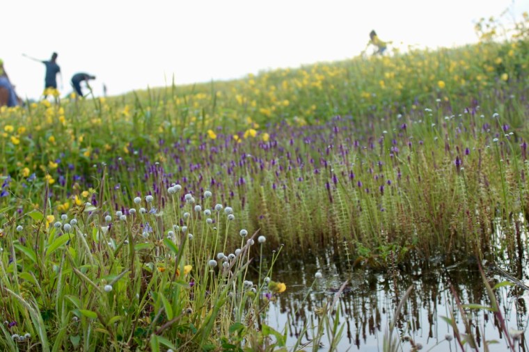 +RHEjbx%Q9qS1oQIqGNPRQ_thumb_225