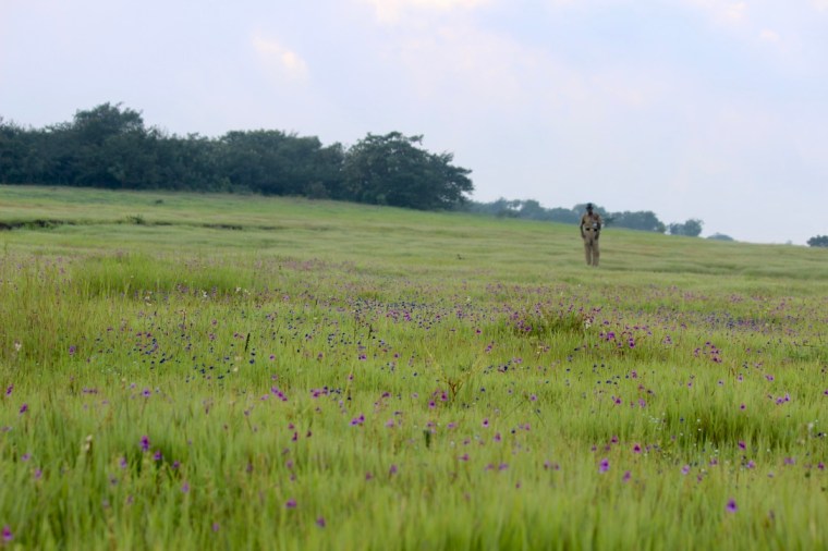 S0aYbZ5cRFCF9X9UncqURw_thumb_25b