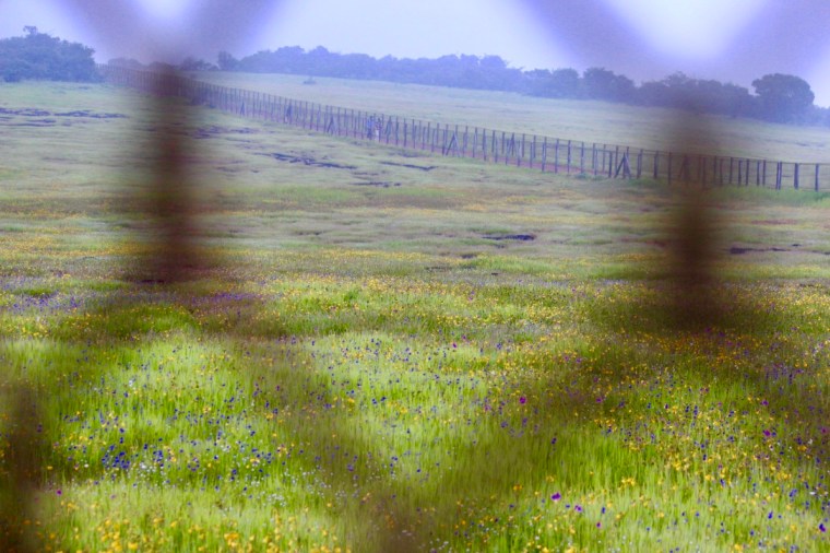 uvd8ErPBTnimUEUB6XXQuQ_thumb_28d