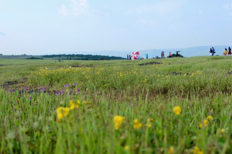 UxWaOAFARQC6LDoBhr7ciA_thumb_214